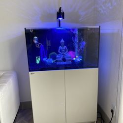 Red Sea Reefer 250 Fish Tank