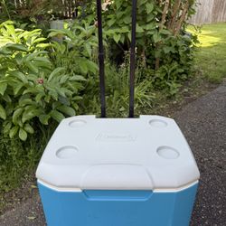 Large Cooler 