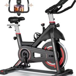 Caromix Exercise Bike Indoor Stationary Bike with Comfortable Seat Cushion