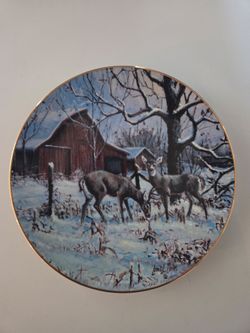 Collectible plates (2)
