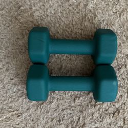 8 Lb Hand Weights