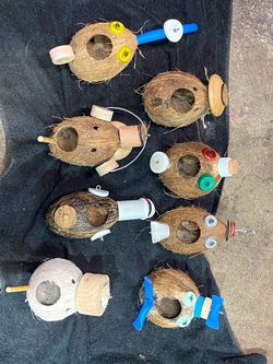 Handmade Coconut  birdhouse