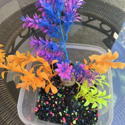 Aquarium Accessories 