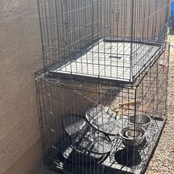Dog Kennels 