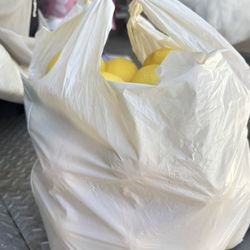 Bag of lemans full for only $10