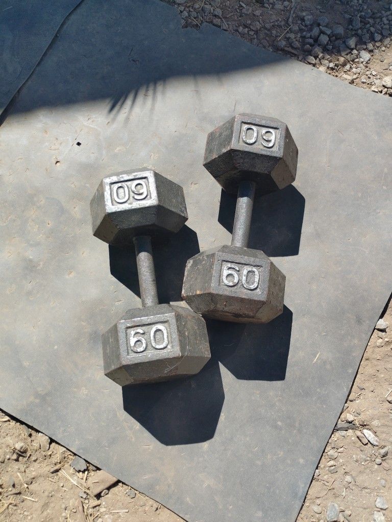 60lb Hex Dumbbells 