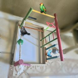 Bird Play Stand (Seminew)