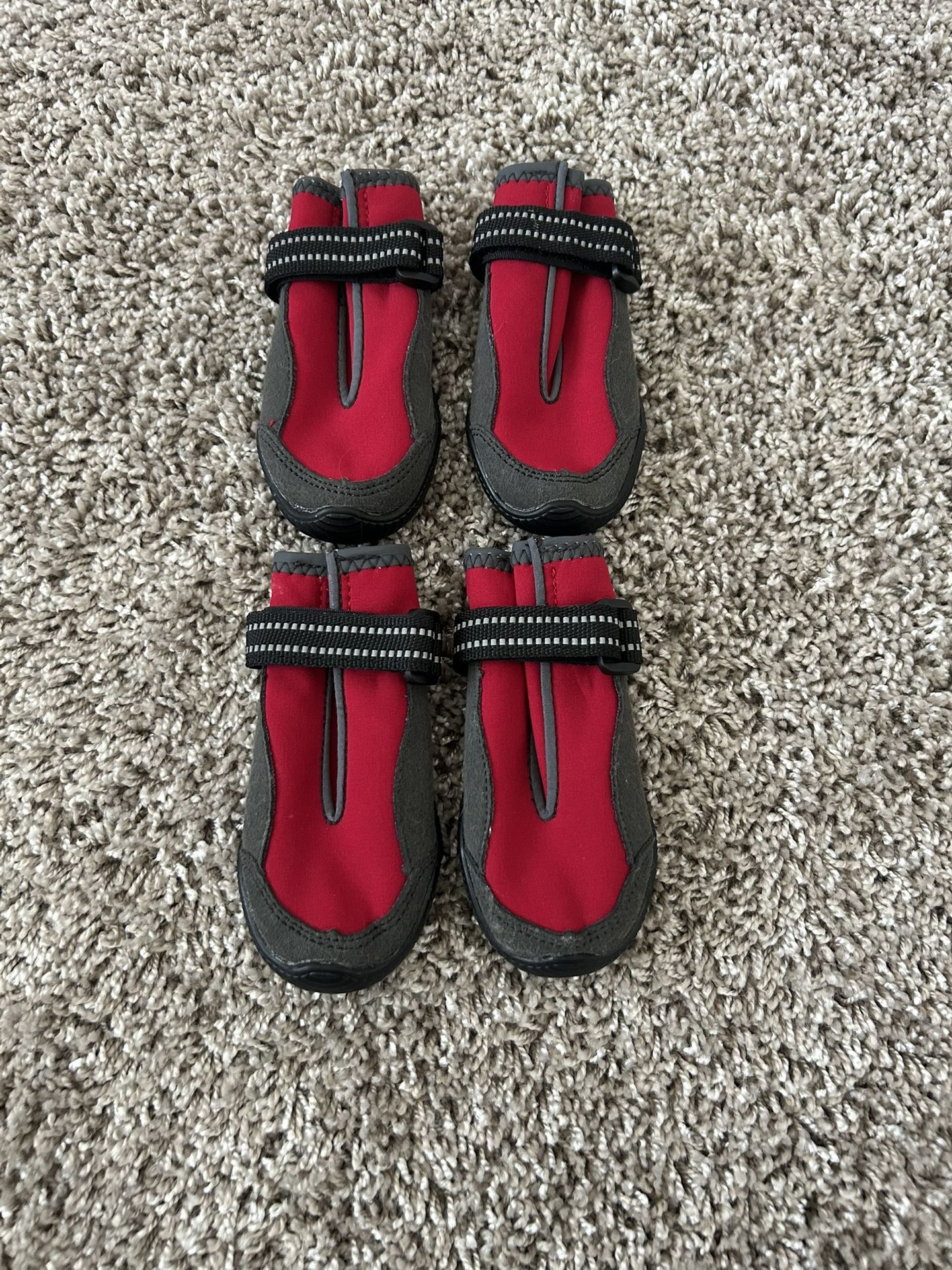 dog shoes
