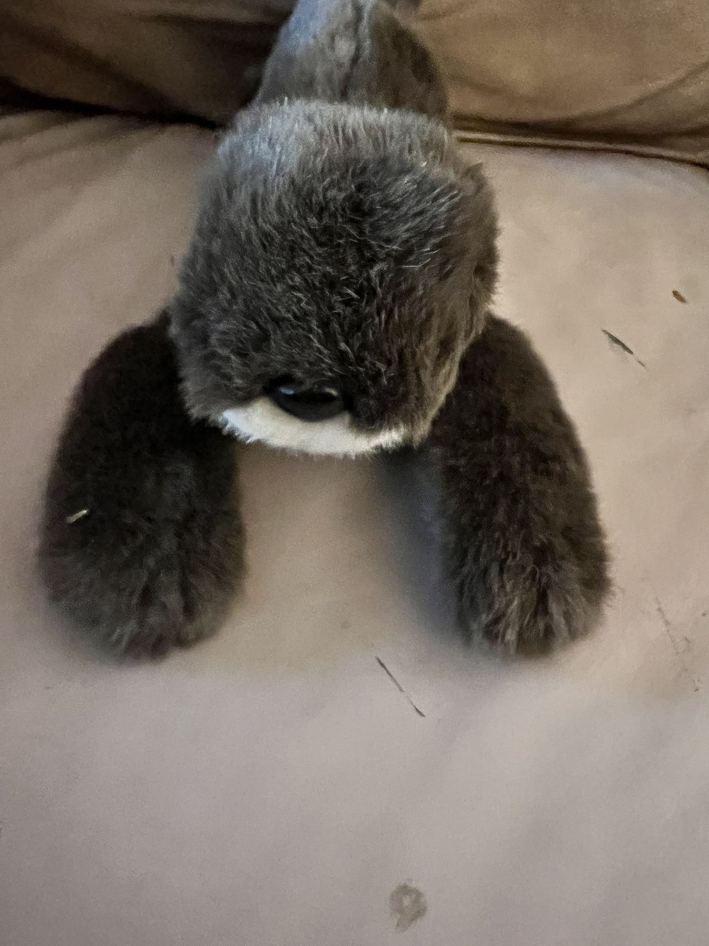 Stuffed Otter Toy