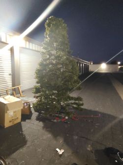 12ft Xmas tree