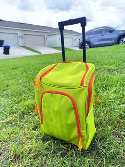 Rolling cooler bag with handle