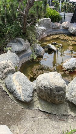 POND ROCKS