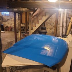 2010 Mustang GT Hood - Grabber Blue