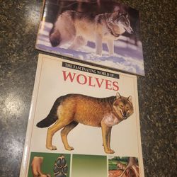 Book: The Fascinating World of WOLVES, and Wolf print, new in package