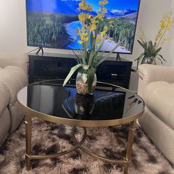 Furniture Sale – Loveseat, Coffee Table, Glass Dining Table, TV and TV Stand, Toaster and more. Price Listed In The Description Below. 