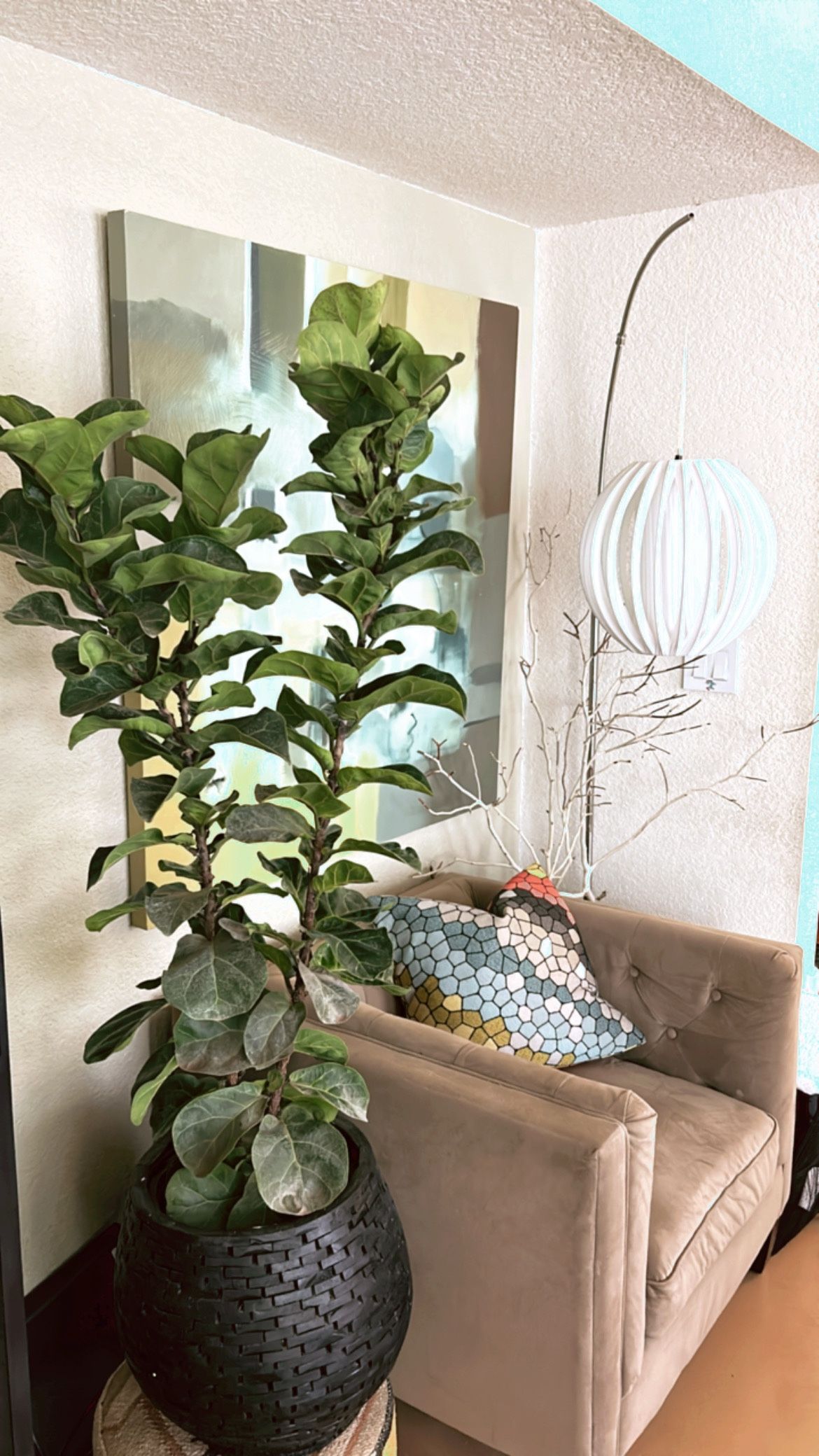 Aesthetically pleasing live Plant Decor