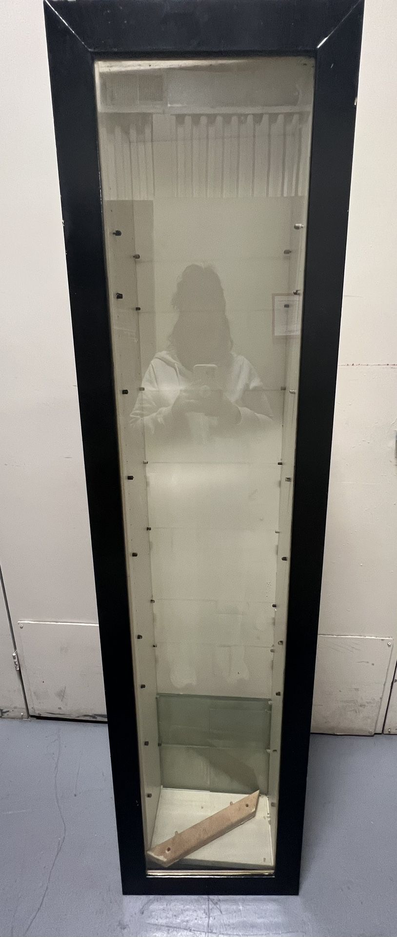 Wall Mounted Display Case w/ Glass Door & Glass Shelves