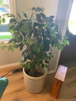 Artificial 3” ficus tree