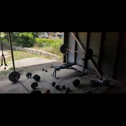 Weights And Bench