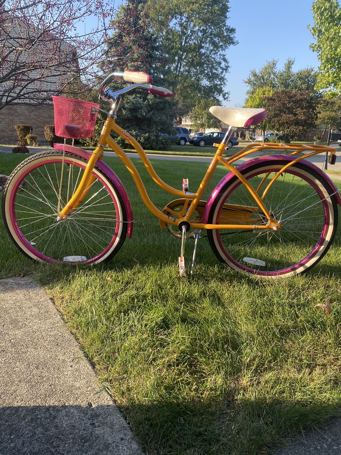 Schwinn Girls Bike