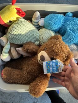 Bin Full Of Stuffed Animals And Dolls