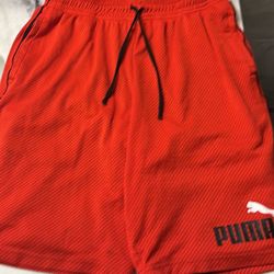 Puma Shorts 