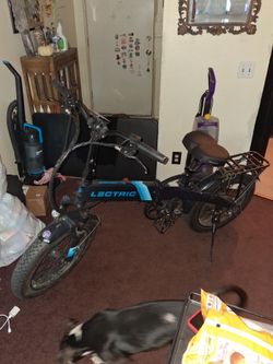 LECTRIC XP 2.0