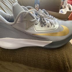 Nike Precision IV