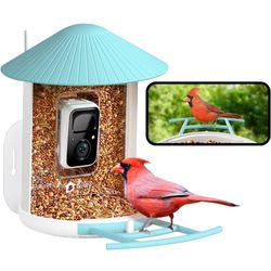Smart Bird Feeder 
