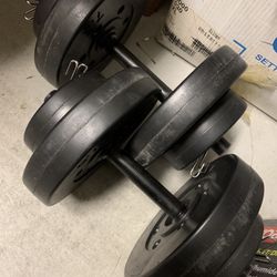Dumbbells Weights 7.5 2.5 10 20 Lbs