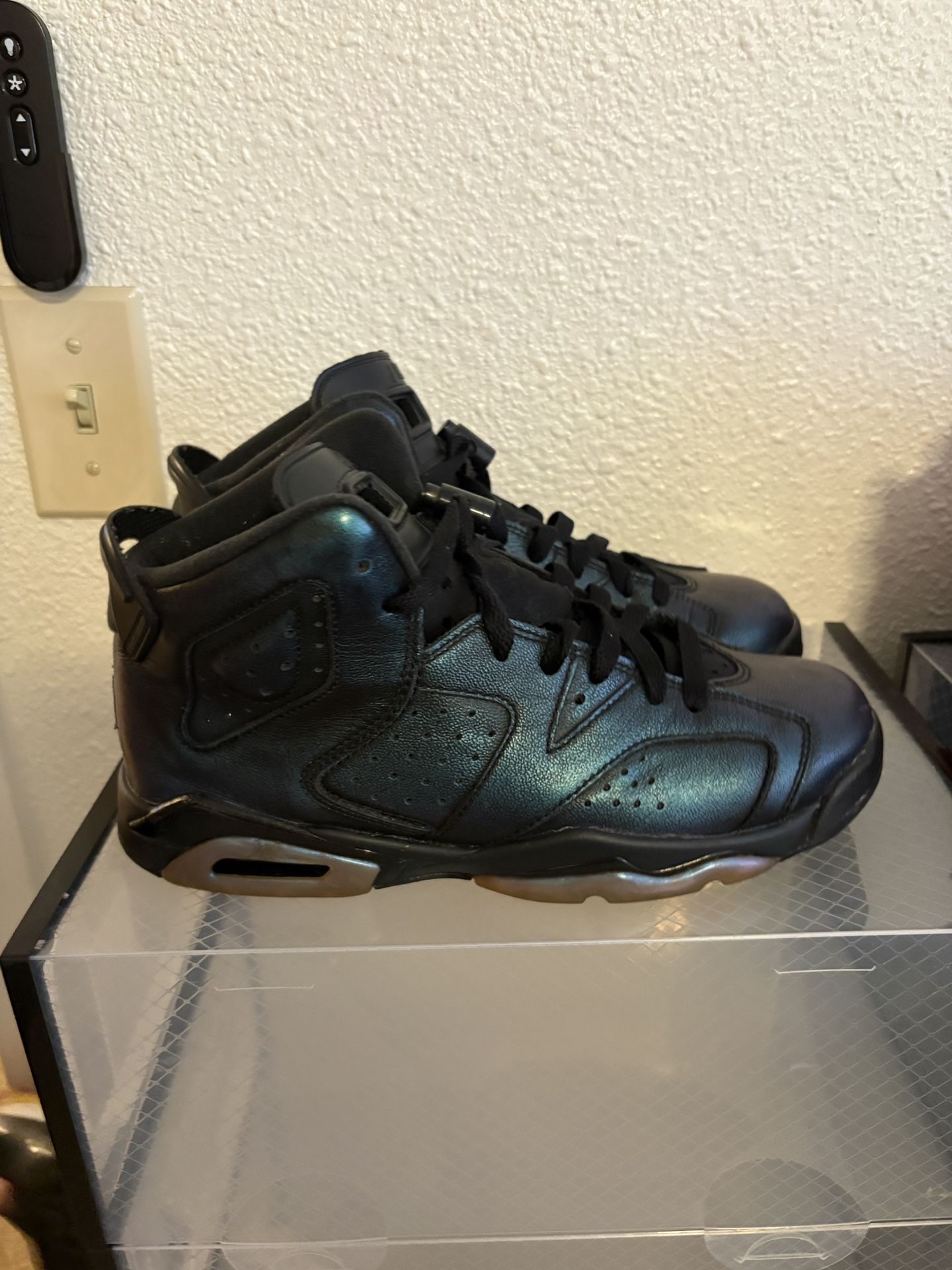 Jordan 6 Chameleon