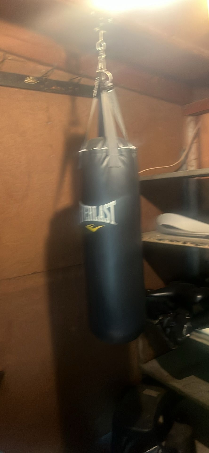 Everlast 80 Pound Boxing Bag