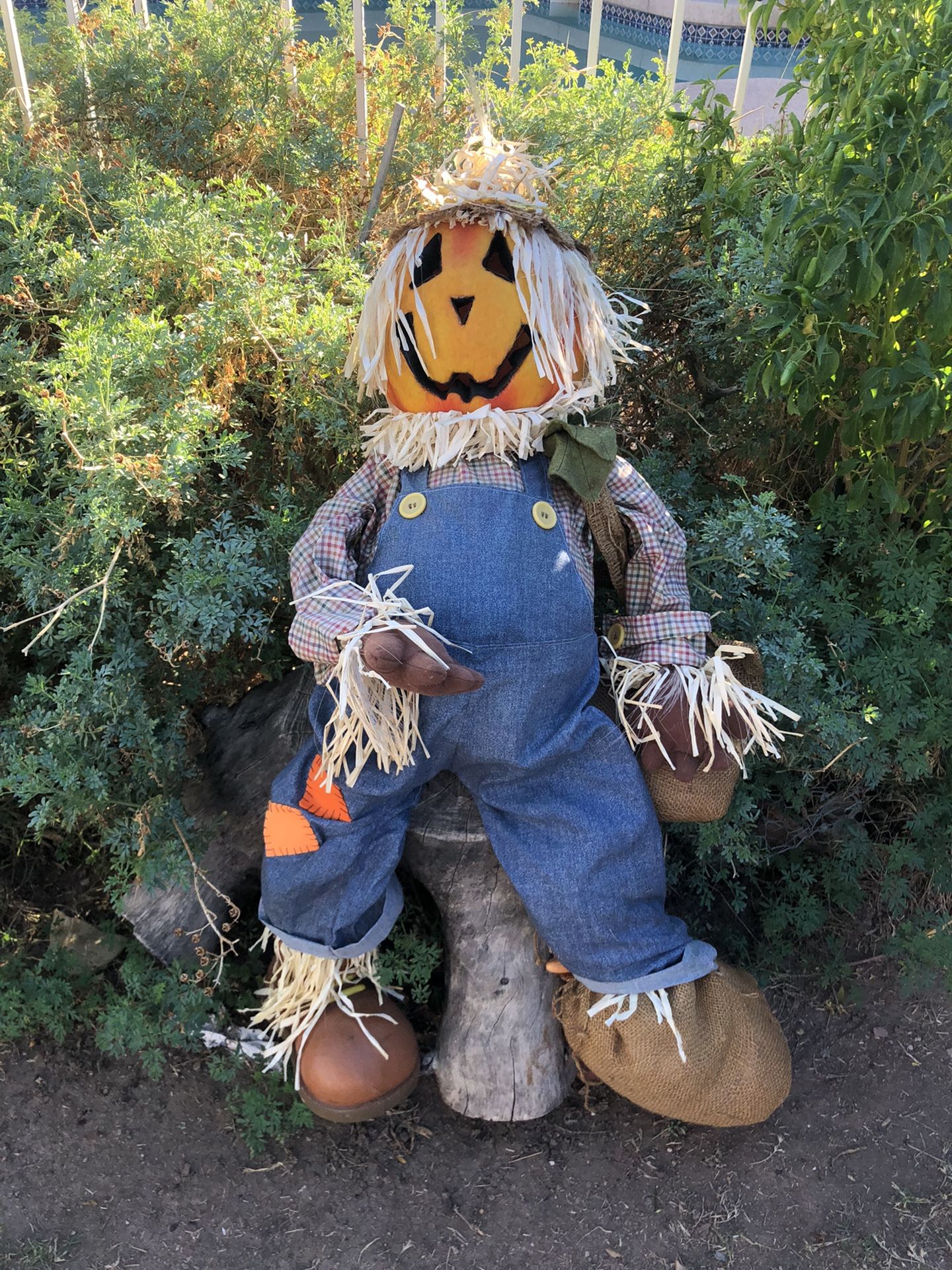Halloween Scarecrow Decor, decoration. 