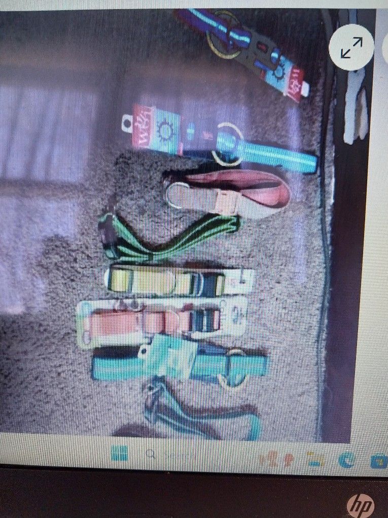 Dog Collars A Variety
