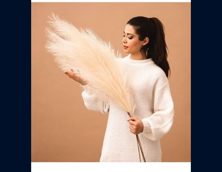 LIQUIDATION Bundles Of Pampas Grass