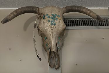 Vintage Native American Decorated Skull