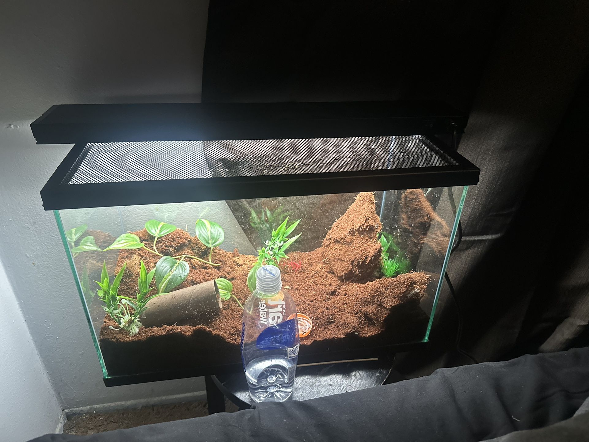 10 Gallon Tank With Lid