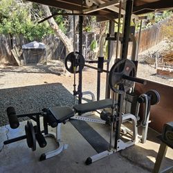 Cage And Weights 