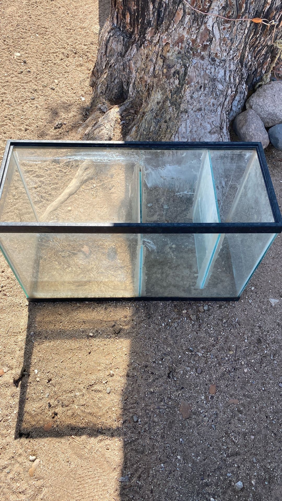 $10 Fish Tanks