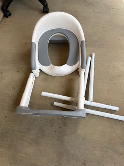 Potty seat with step stool ladder and portable potty