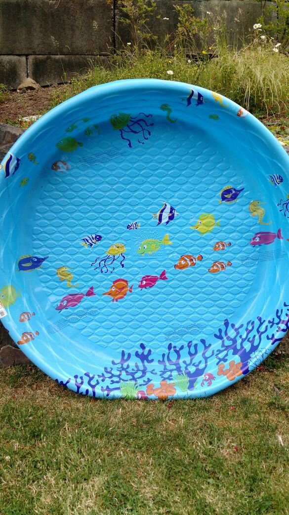 FREE Hard plastic kiddie pool NEW!