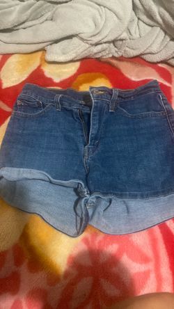 size 25 shorts