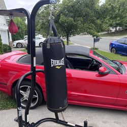 Everlast boxing Set Up- heavy And Speed Bag