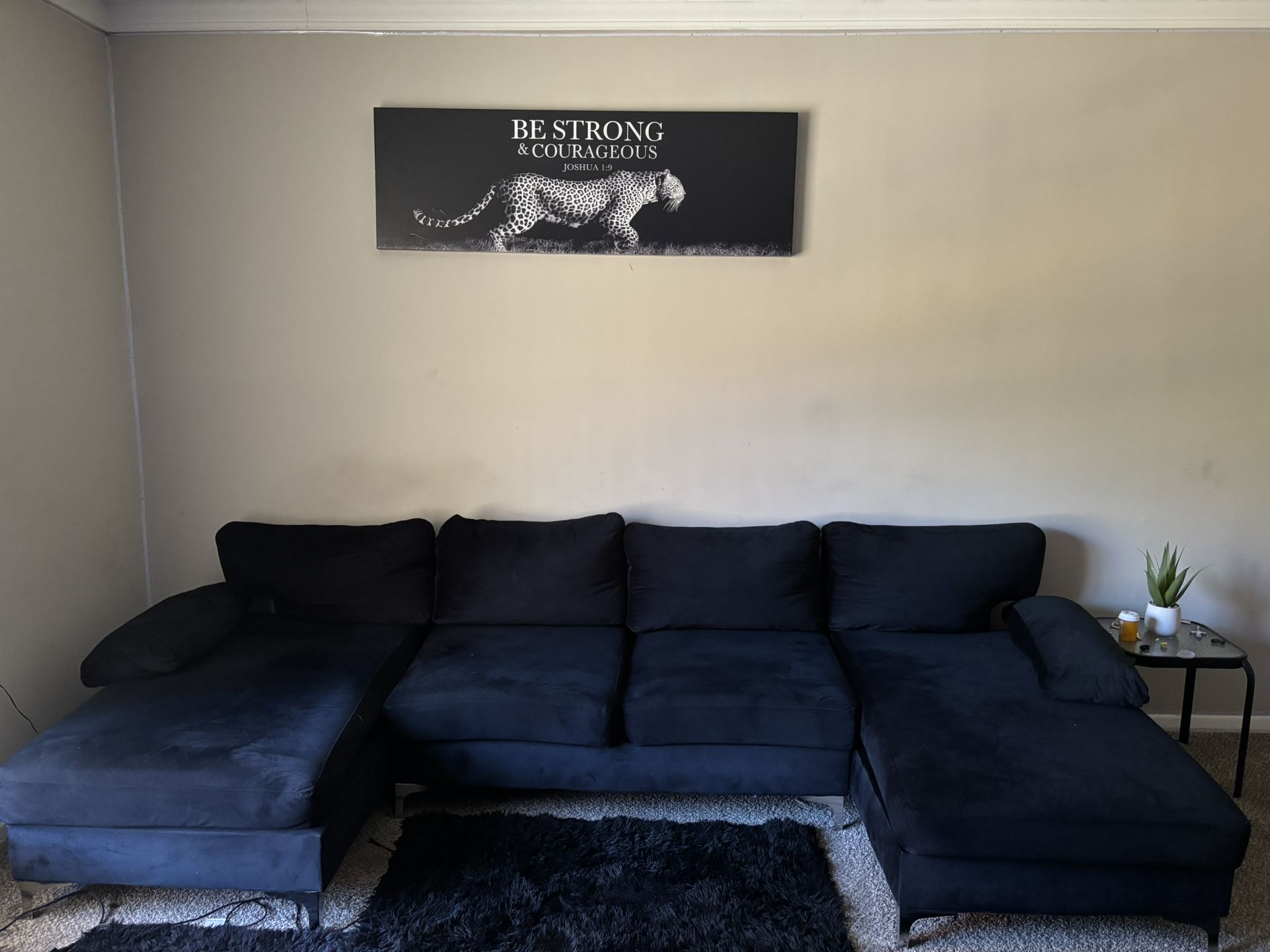 Black Suede Couch