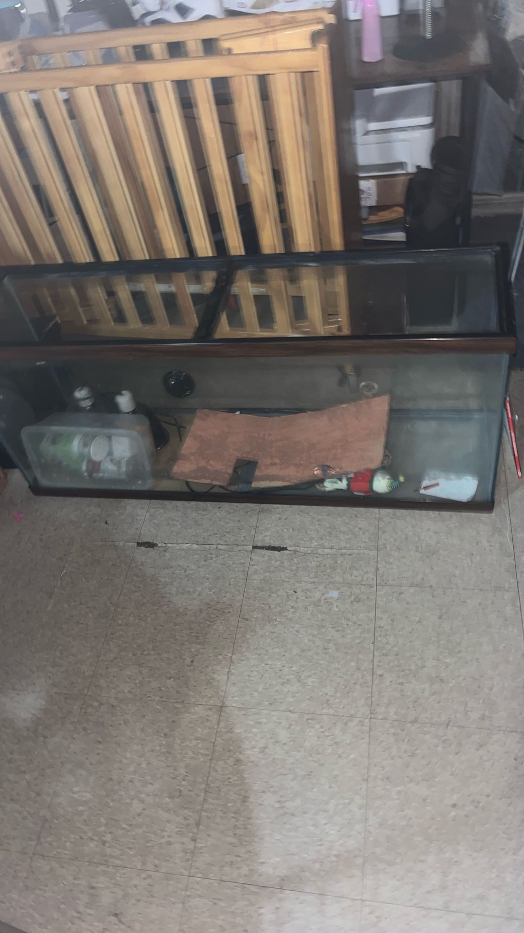 50 Gallon Tank