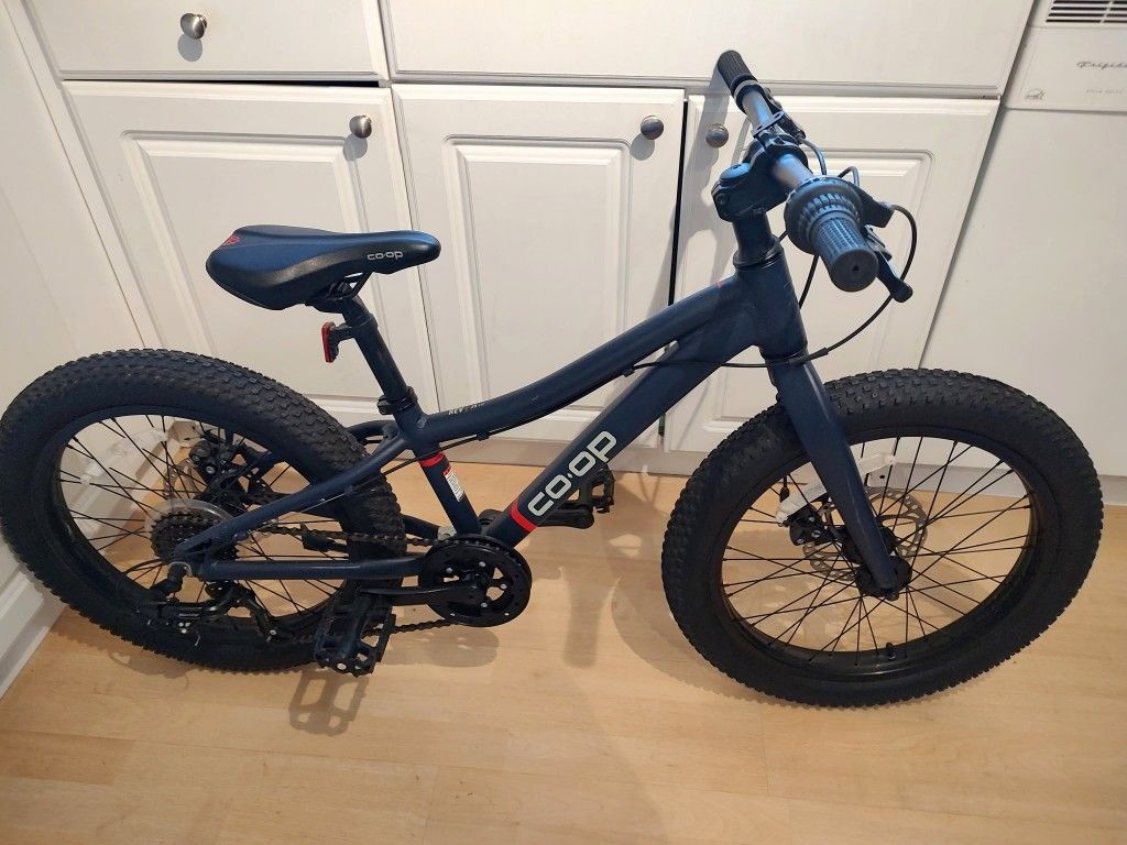 REI Co-op REV 20" kids 6 Speed Mountain Bike with aluminum frame 