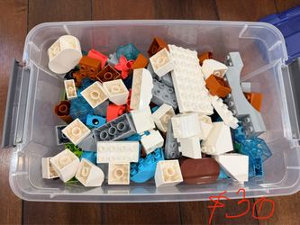 Duplo classic jungle