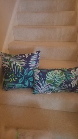 Cushion