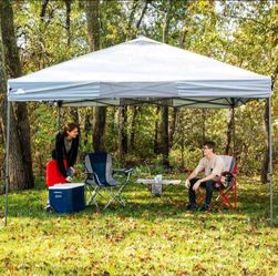 Instant canopy