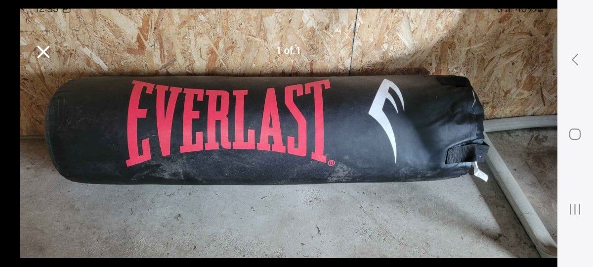 Large Punching Bag
